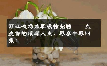 丽江夜场兼职模特招聘——点亮你的璀璨人生，尽享丰厚回报！
