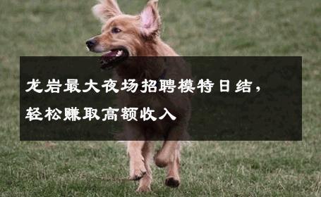 龙岩最大夜场招聘模特日结，轻松赚取高额收入