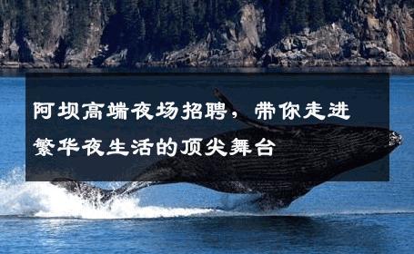 阿坝高端夜场招聘，带你走进繁华夜生活的顶尖舞台