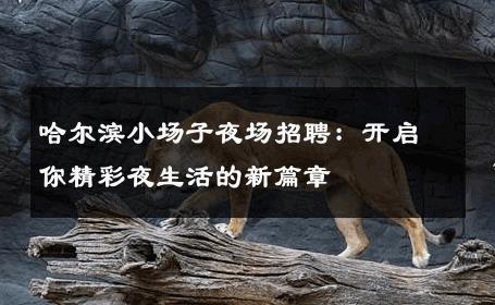 哈尔滨小场子夜场招聘：开启你精彩夜生活的新篇章