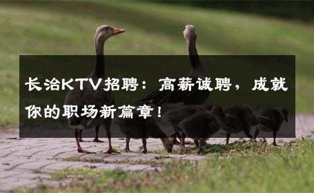 长治KTV招聘：高薪诚聘，成就你的职场新篇章！