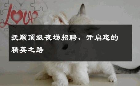 抚顺顶级夜场招聘，开启您的精英之路