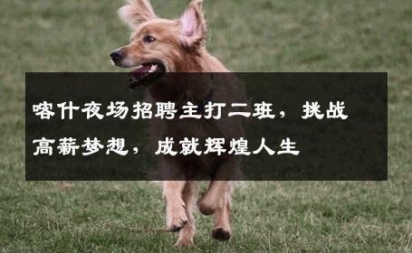 喀什夜场招聘主打二班，挑战高薪梦想，成就辉煌人生
