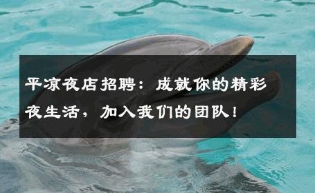 平凉夜店招聘：成就你的精彩夜生活，加入我们的团队！