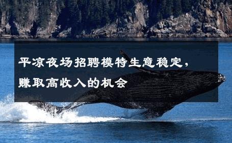 平凉夜场招聘模特生意稳定，赚取高收入的机会