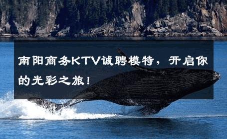 南阳商务KTV诚聘模特，开启你的光彩之旅！