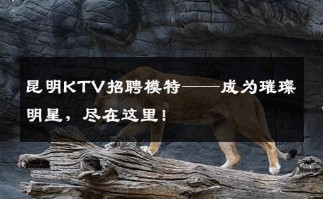 昆明KTV招聘模特——成为璀璨明星，尽在这里！