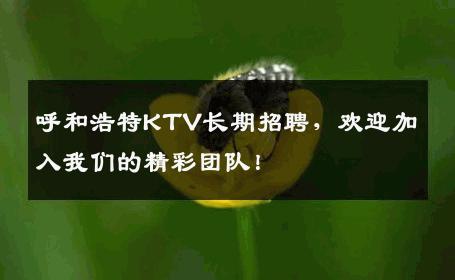 呼和浩特KTV长期招聘，欢迎加入我们的精彩团队！