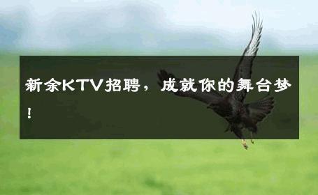 新余KTV招聘，成就你的舞台梦！