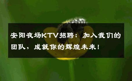 安阳夜场KTV招聘：加入我们的团队，成就你的辉煌未来！