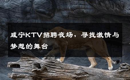 咸宁KTV招聘夜场，寻找激情与梦想的舞台