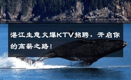 湛江生意火爆KTV招聘，开启你的高薪之路！