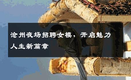 沧州夜场招聘女模，开启魅力人生新篇章
