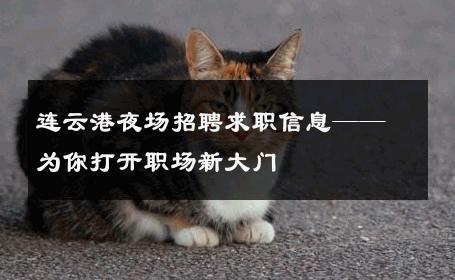 连云港夜场招聘求职信息——为你打开职场新大门