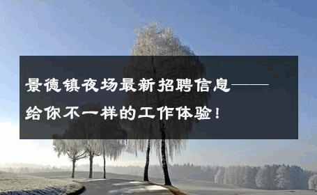 景德镇夜场最新招聘信息——给你不一样的工作体验！