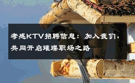 孝感KTV招聘信息：加入我们，共同开启璀璨职场之路