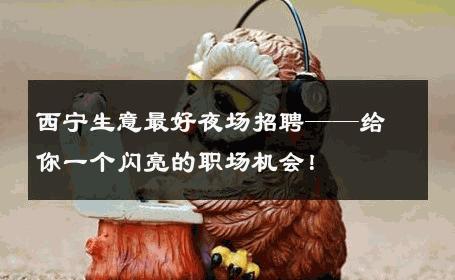 西宁生意最好夜场招聘——给你一个闪亮的职场机会！