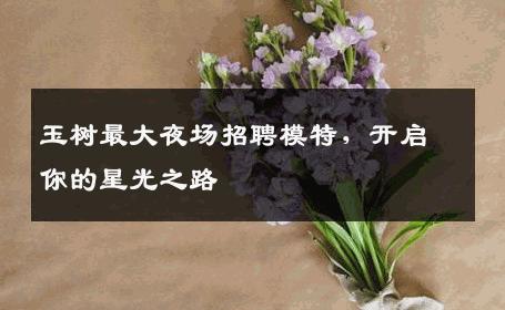 玉树最大夜场招聘模特，开启你的星光之路