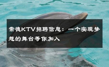 常德KTV招聘信息：一个实现梦想的舞台等你加入