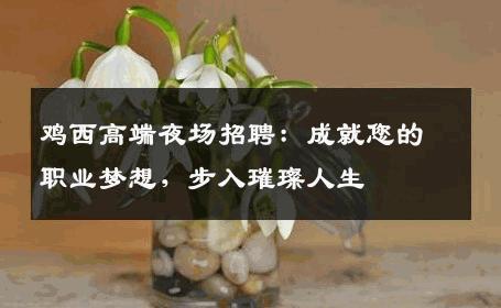 鸡西高端夜场招聘：成就您的职业梦想，步入璀璨人生