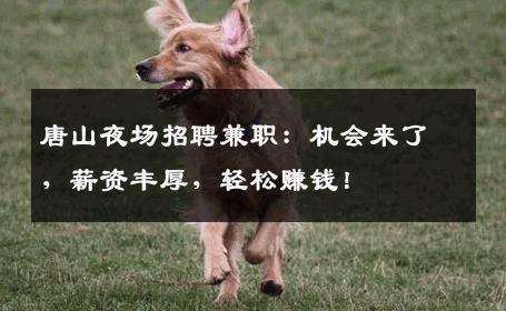 唐山夜场招聘兼职：机会来了，薪资丰厚，轻松赚钱！