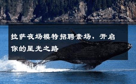 拉萨夜场模特招聘素场，开启你的星光之路
