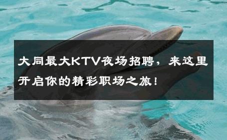 大同最大KTV夜场招聘，来这里开启你的精彩职场之旅！