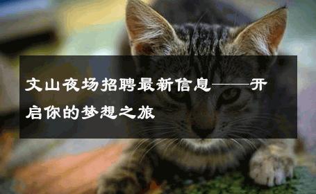 文山夜场招聘最新信息——开启你的梦想之旅