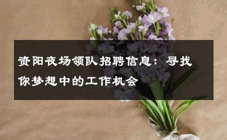 资阳夜场领队招聘信息：寻找你梦想中的工作机会