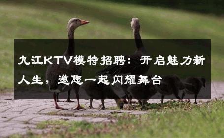 九江KTV模特招聘：开启魅力新人生，邀您一起闪耀舞台