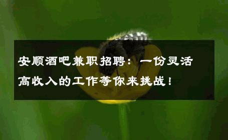 安顺酒吧兼职招聘：一份灵活高收入的工作等你来挑战！