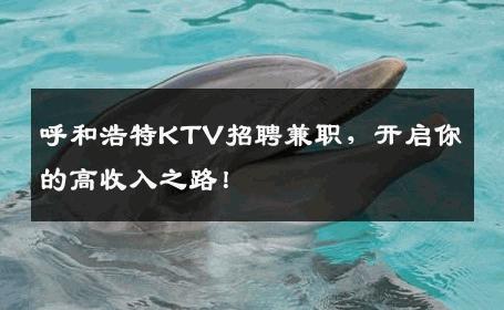 呼和浩特KTV招聘兼职，开启你的高收入之路！