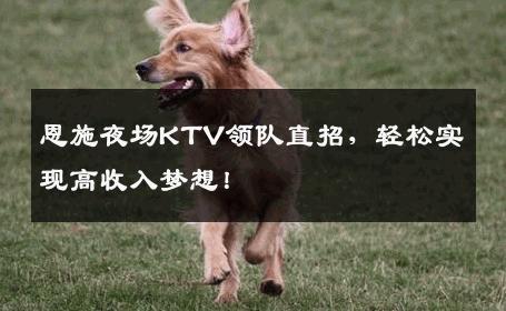 恩施夜场KTV领队直招，轻松实现高收入梦想！
