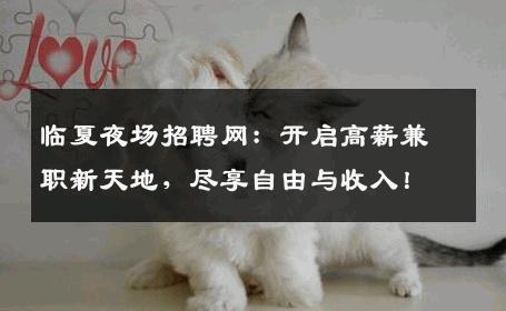 临夏夜场招聘网：开启高薪兼职新天地，尽享自由与收入！