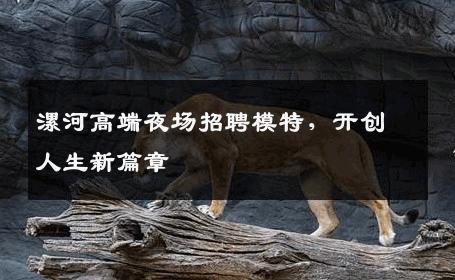 漯河高端夜场招聘模特，开创人生新篇章
