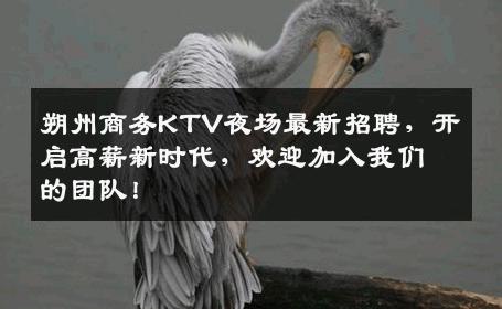 朔州商务KTV夜场最新招聘，开启高薪新时代，欢迎加入我们的团队！