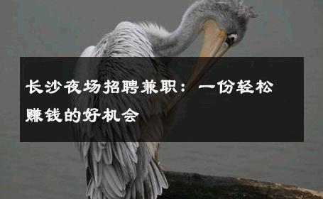 长沙夜场招聘兼职：一份轻松赚钱的好机会