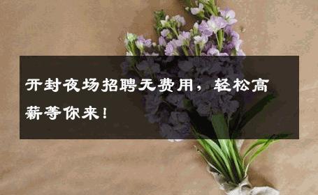 开封夜场招聘无费用，轻松高薪等你来！