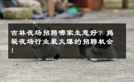 吉林夜场招聘哪家生意好？揭秘夜场行业最火爆的招聘机会！