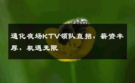 通化夜场KTV领队直招，薪资丰厚，机遇无限