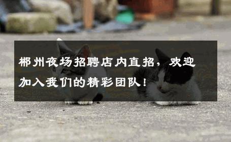 郴州夜场招聘店内直招，欢迎加入我们的精彩团队！