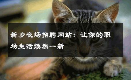 新乡夜场招聘网站：让你的职场生活焕然一新