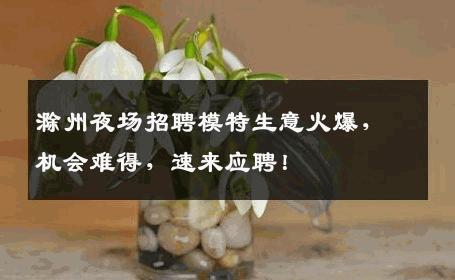 滁州夜场招聘模特生意火爆，机会难得，速来应聘！
