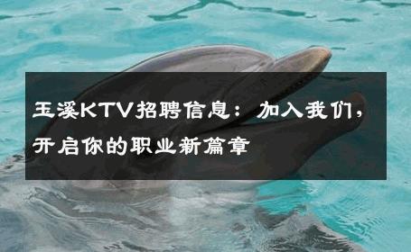 玉溪KTV招聘信息：加入我们，开启你的职业新篇章