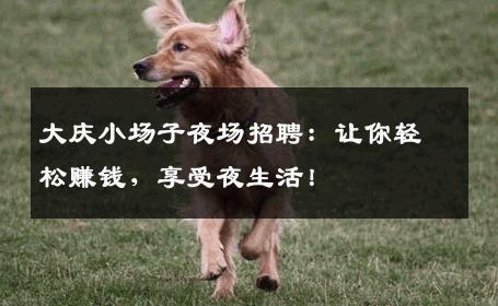 大庆小场子夜场招聘：让你轻松赚钱，享受夜生活！
