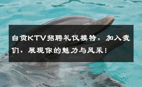 自贡KTV招聘礼仪模特，加入我们，展现你的魅力与风采！