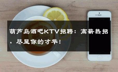 葫芦岛酒吧KTV招聘：高薪热招，尽显你的才华！