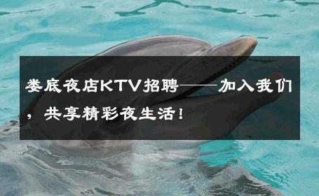 娄底夜店KTV招聘——加入我们，共享精彩夜生活！