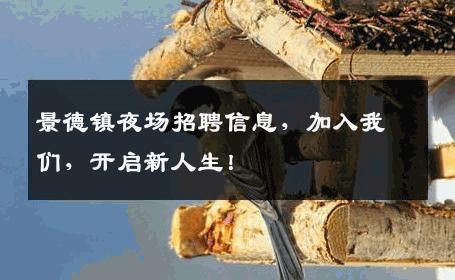 景德镇夜场招聘信息，加入我们，开启新人生！
