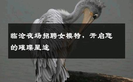 临沧夜场招聘女模特，开启您的璀璨星途